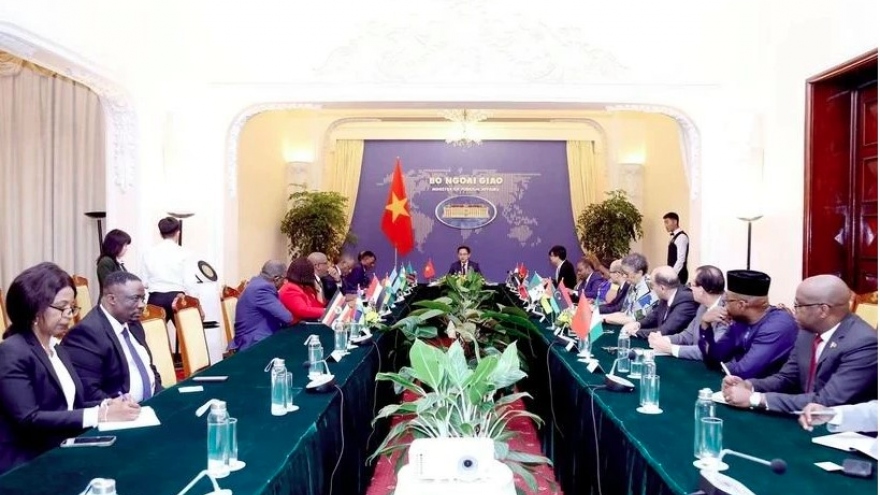 Vietnam, Africa need to make breakthroughs in bilateral ties